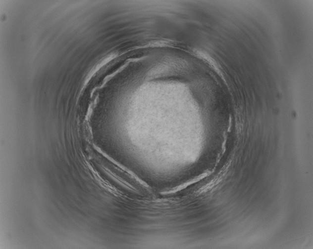 X0000071810827200607141608