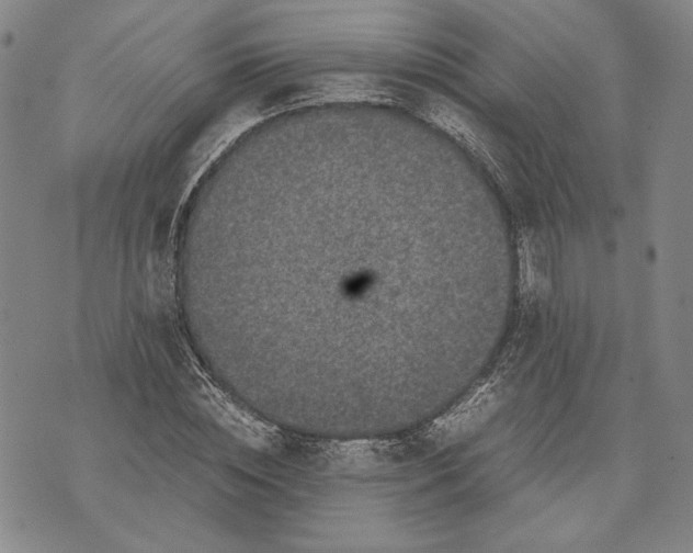 X0000071810828200607141608