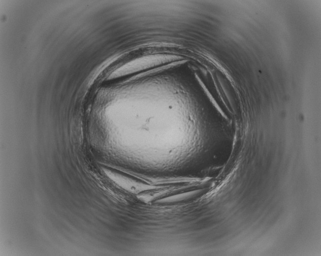 X0000071810829200607141608