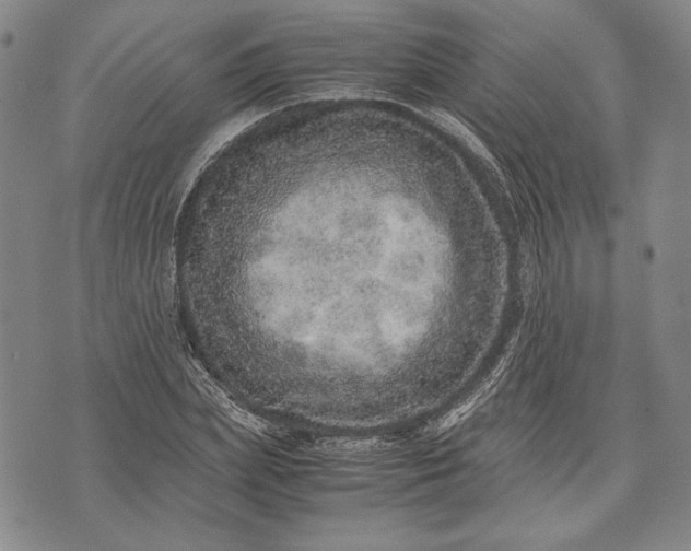 X0000071810831200607141608