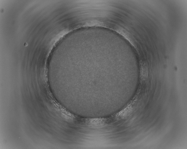 X0000071810832200607141608