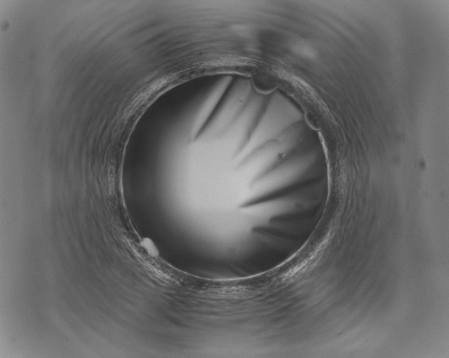 X0000071810833200607141608