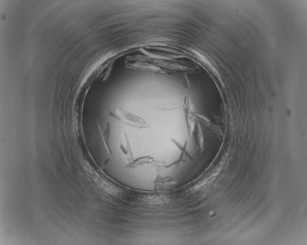 X0000071810835200607141608