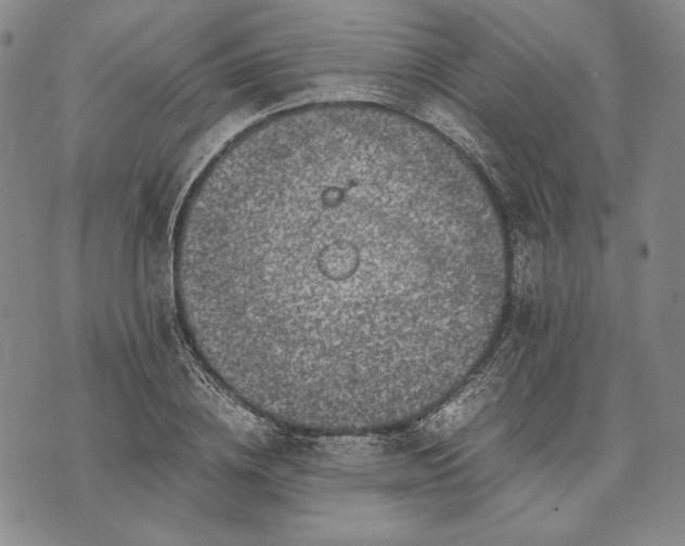 X0000071810836200607141608