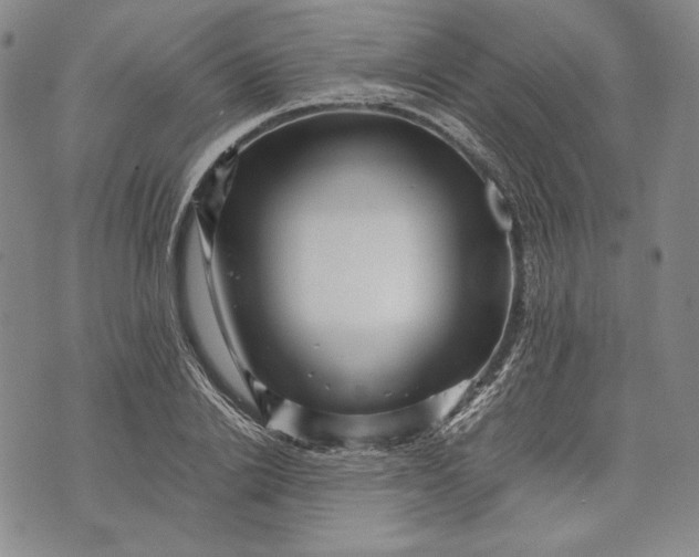 X0000071810838200607141608