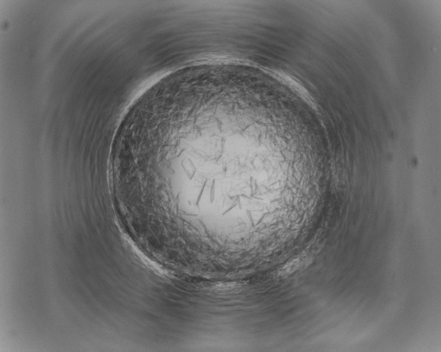 X0000071810839200607141608