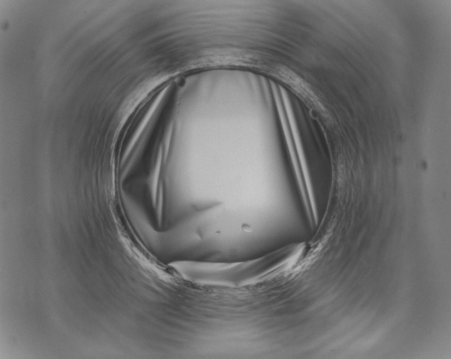 X0000071810844200607141608