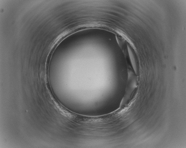 X0000071810845200607141608