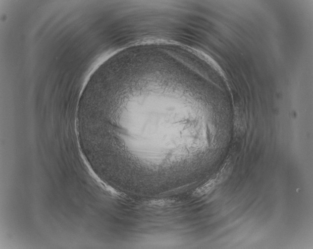 X0000071810847200607141608