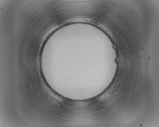 X0000071810848200607141608