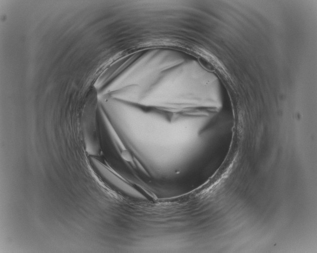 X0000071810849200607141608