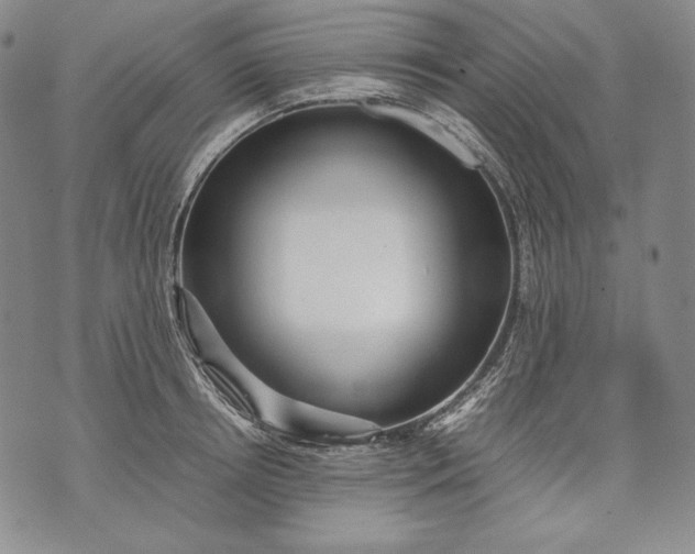 X0000071810850200607141608