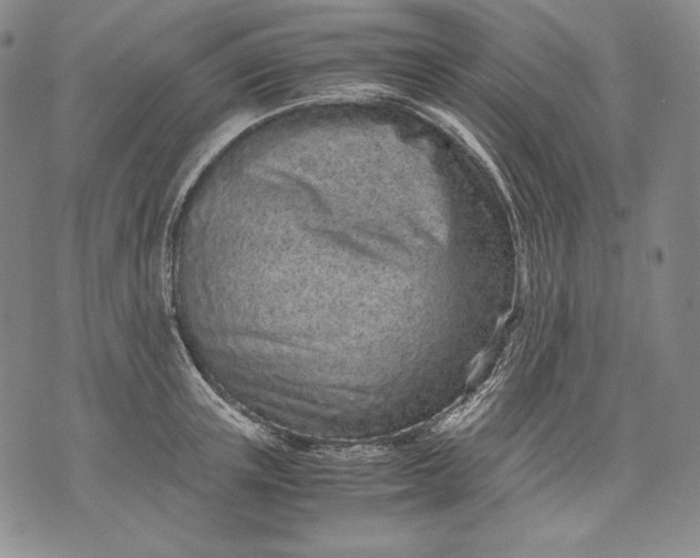 X0000071810851200607141608