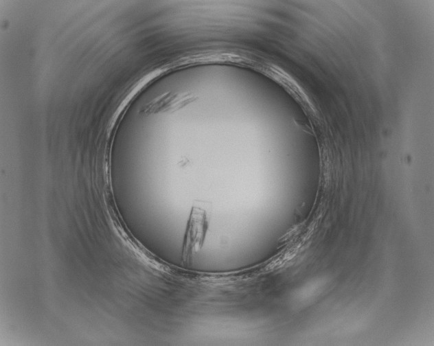 X0000071810852200607141608