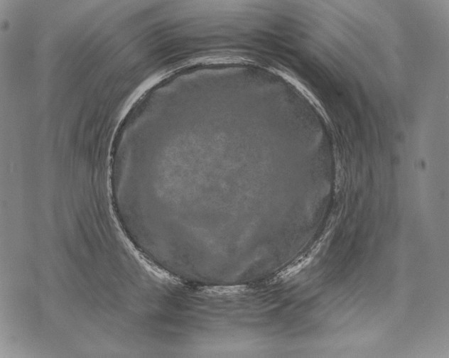 X0000071810853200607141608