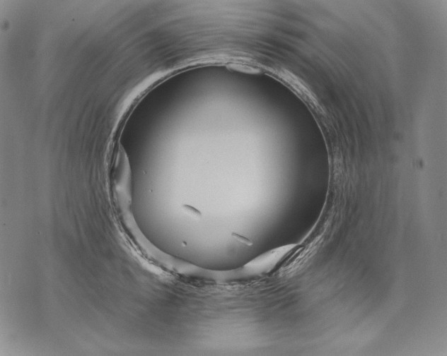 X0000071810854200607141608