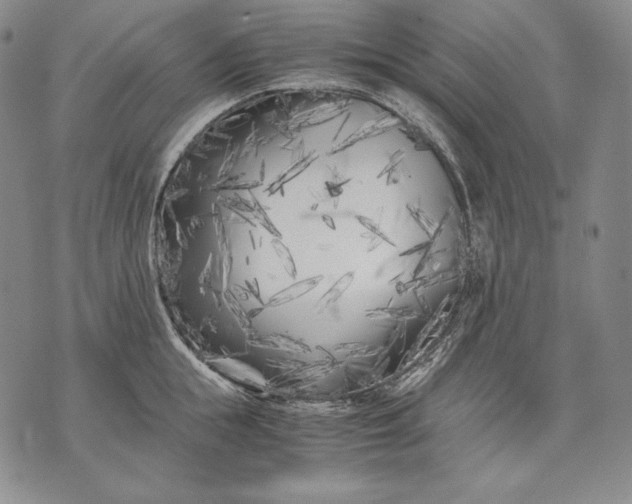 X0000071810855200607141608