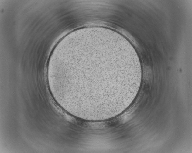 X0000071810856200607141608