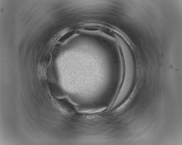 X0000071810857200607141608