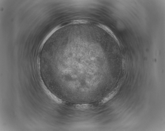 X0000071810859200607141608