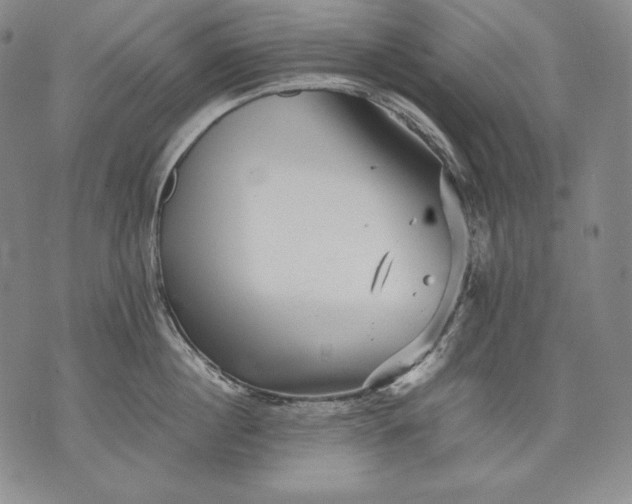 X0000071810860200607141608