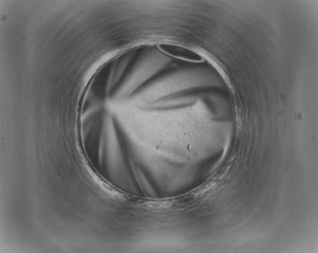 X0000071810861200607141609