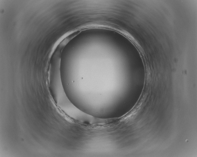 X0000071810862200607141609