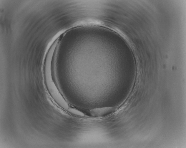 X0000071810864200607141609