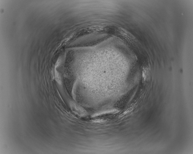 X0000071810867200607141608