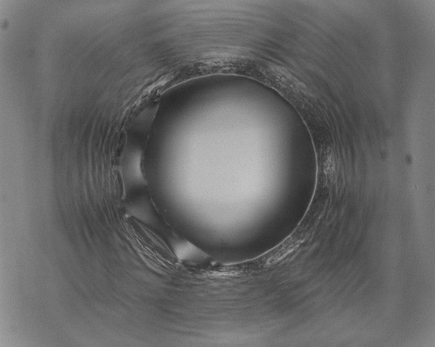 X0000071810868200607141608