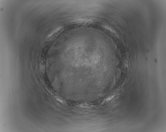 X0000071810869200607141608