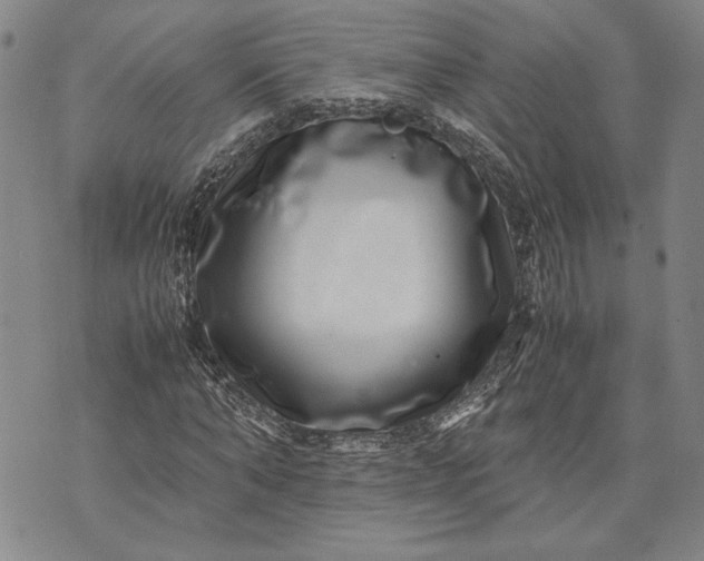 X0000071810870200607141608