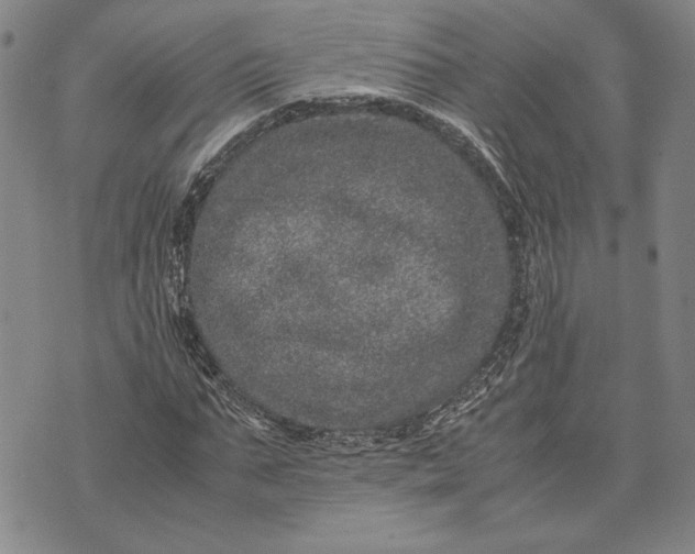 X0000071810871200607141608