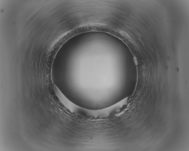 X0000071810872200607141608