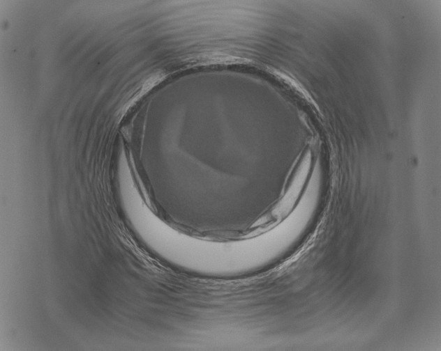 X0000071810873200607141608