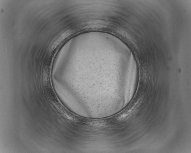 X0000071810874200607141608