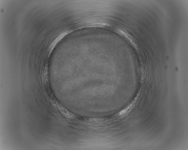 X0000071810875200607141608