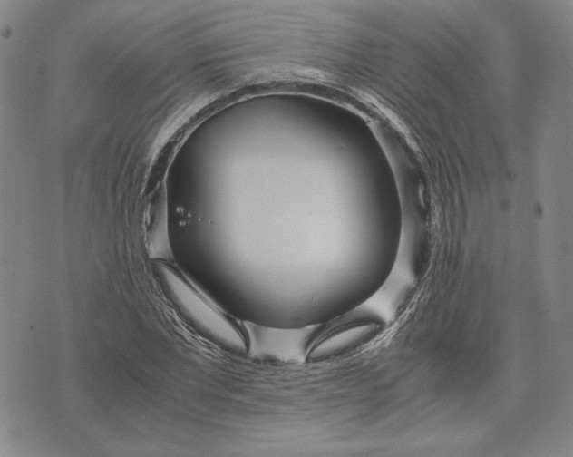 X0000071810877200607141608