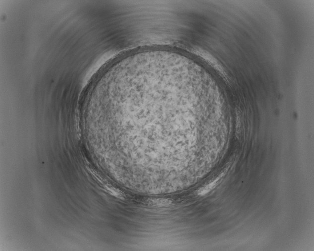 X0000071810878200607141608