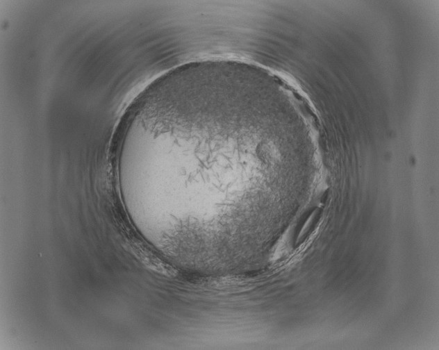 X0000071810879200607141608