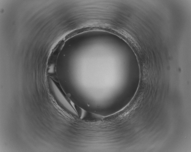 X0000071810880200607141608