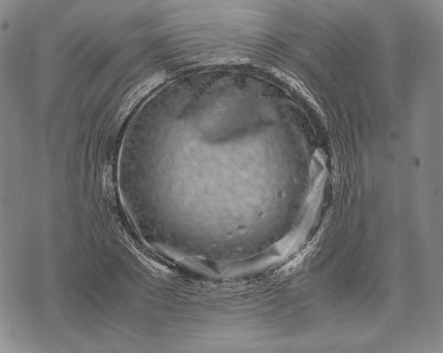 X0000071810881200607141608