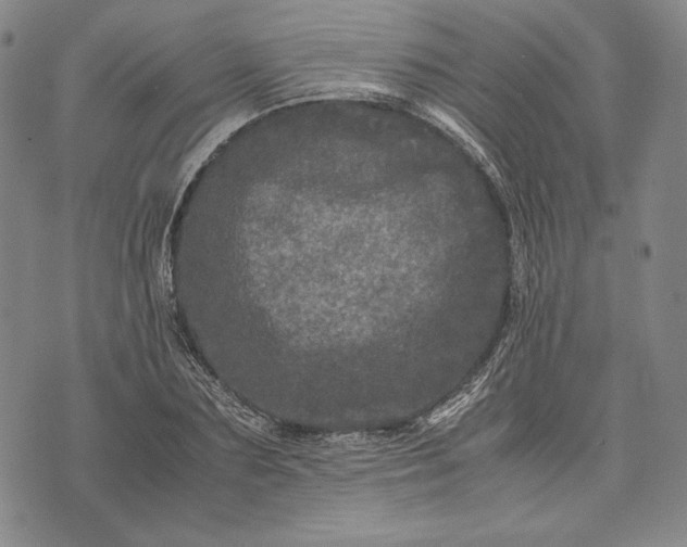 X0000071810883200607141607