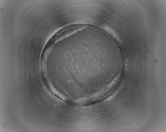 X0000071810884200607141607