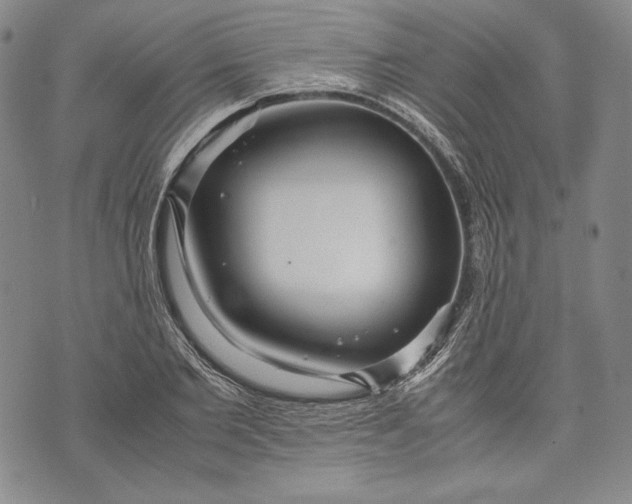 X0000071810885200607141607