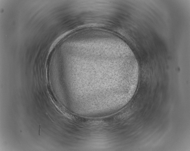 X0000071810886200607141607