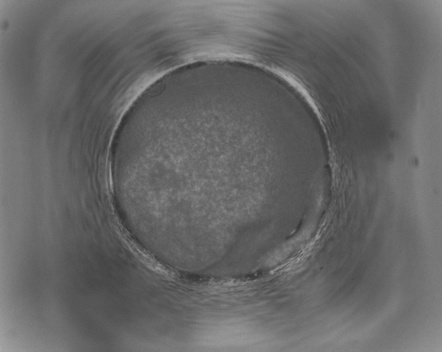 X0000071810887200607141607