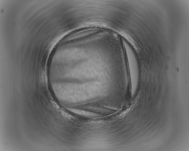 X0000071810888200607141607