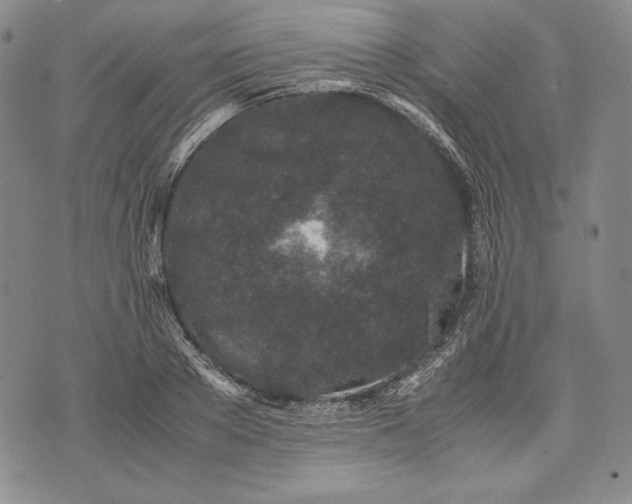 X0000071810889200607141607