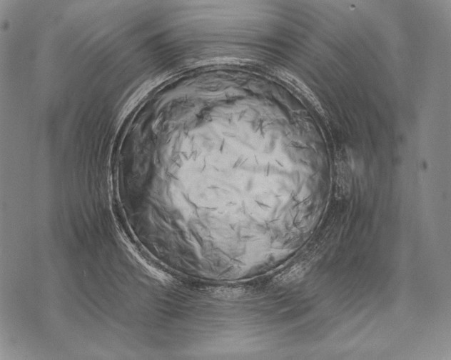 X0000071810890200607141607